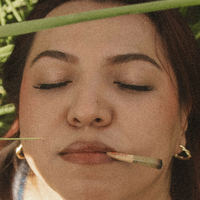 луна.кортезбацкуп Голе